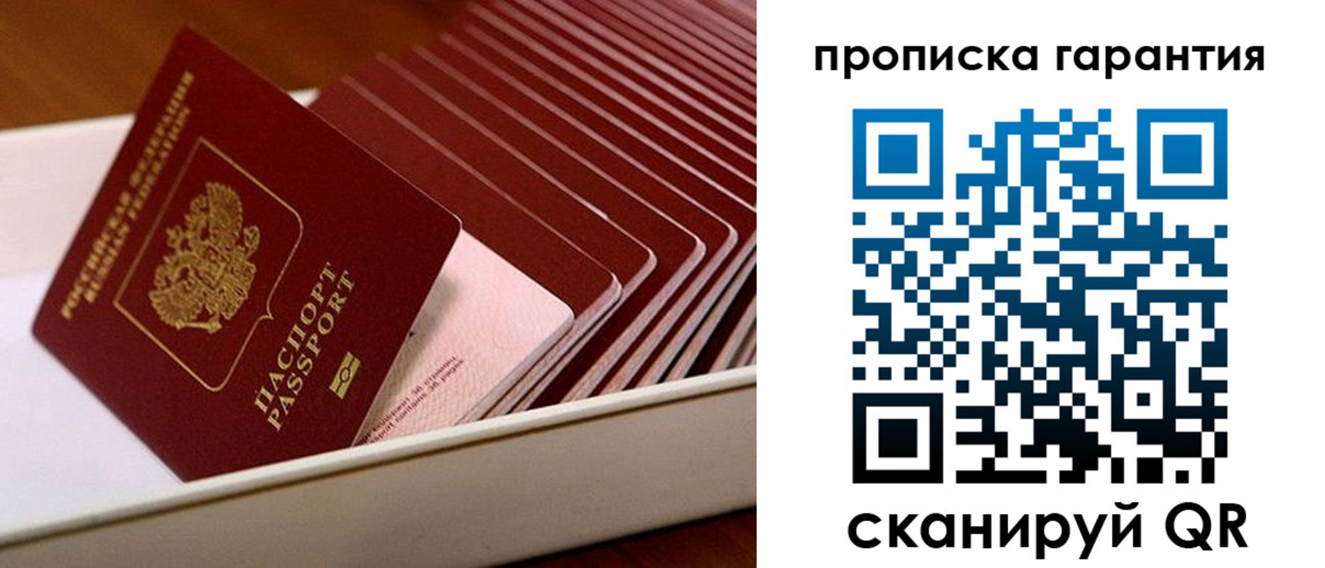 прописка поиск в Козьмодемьянске